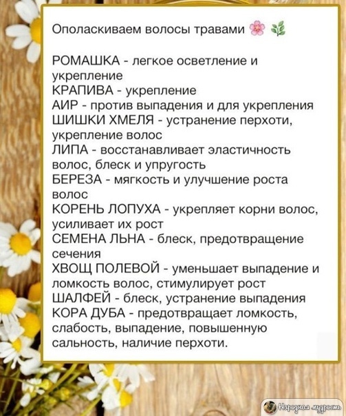 КАК ИСПОЛЬЗОВАТЬ ТРАВЫ ДЛЯ УХОДА ЗА ВОЛОСАМИ: НАРОДНЫЕ РЕЦЕПТЫ ОТВАРОВ,НАСТОЕВ И МАСОК Люди издавна использовали различные отвары и настои на основе трав. Они видели, что такими средствами можно