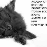 Аватар: Андрей Захаров