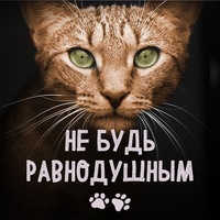 animalss