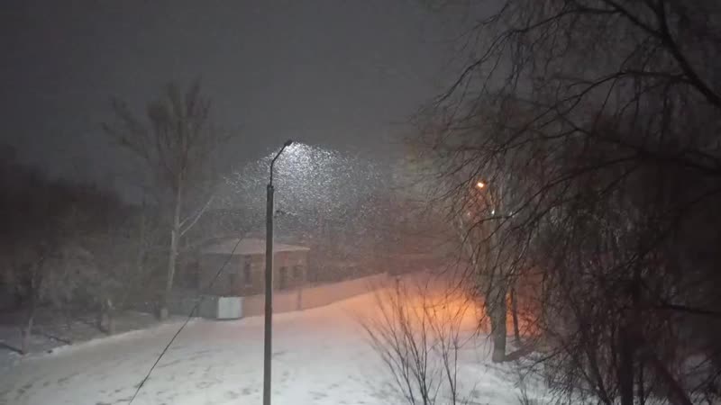 VIDEO_20201227_085013.mp4